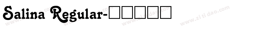 Salina Regular字体转换